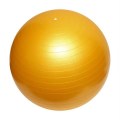 BD2-009.2 Fit ball